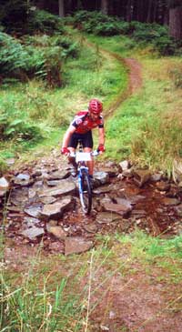 Mountain biking in Mid Wales forestry